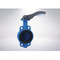 PTFE, PFA, FEP Lined Butterfly Valve